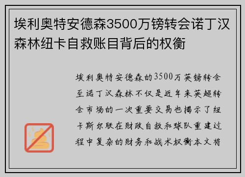 埃利奥特安德森3500万镑转会诺丁汉森林纽卡自救账目背后的权衡
